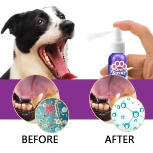 Pet Teeth Cleaning Spray
