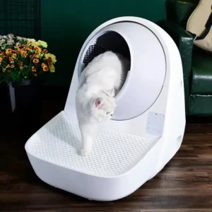 Self-Cleaning Cat Litter Box