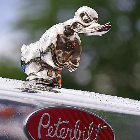 Angry Duck Hood Ornament Death Proof