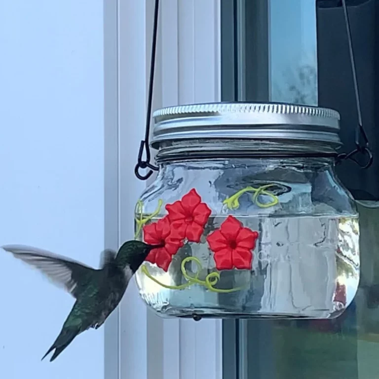 Krásne kŕmidlo pre kolibríky Mason Jar s tromi portami