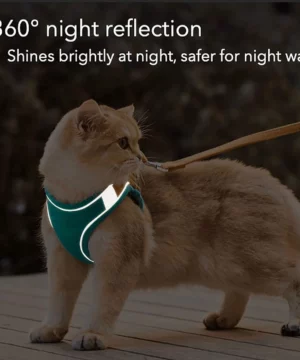 Luminous Cat Vest Harness and Leash Set