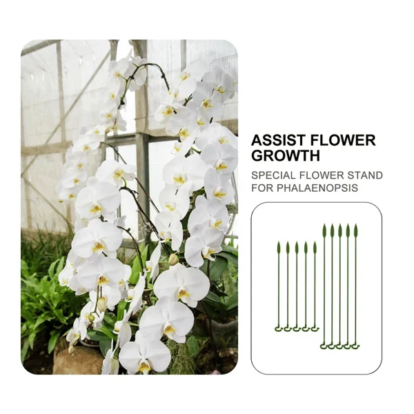 Stake Support Plant（10 Pcs）