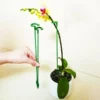 Plant Support Stake（10 Pcs）