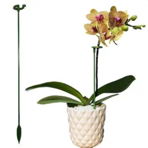 Alternative view of Plant Support Stake（10 Pcs）