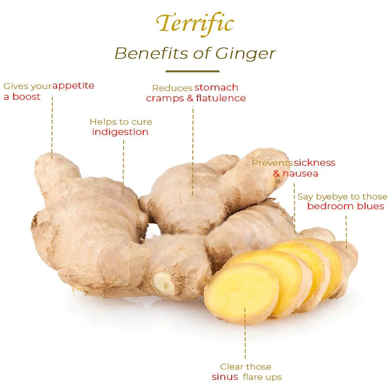 AntiSwelling BodySlim GingerHot Cream - Image 5