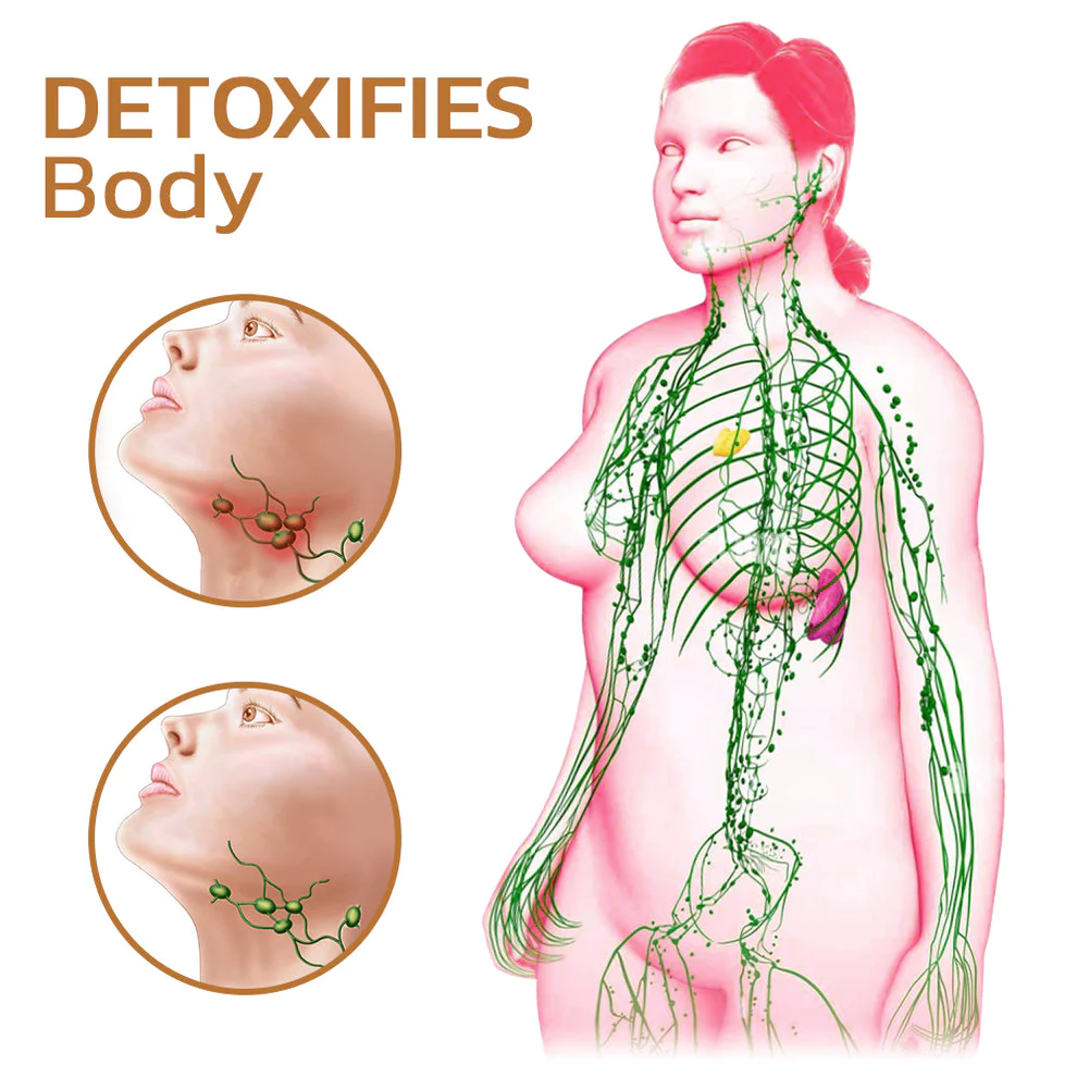 IONia Vanadium Lymphatic Detox Wristband - Image 7
