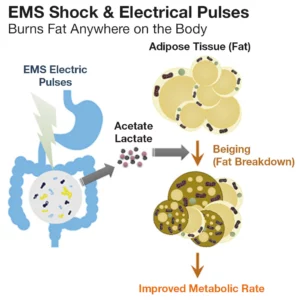 Alternative view of Leaxas™ EMS LymphUnclog Neck Smoothing Massager