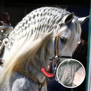 Alternative view of ManeCare™ Mane & Tail Detangle Treatment