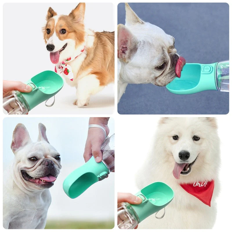 The Pet Water Bottle - Image 2