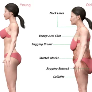 Alternative view of PROBeautyLady™ Collagen Lifting Body Oil