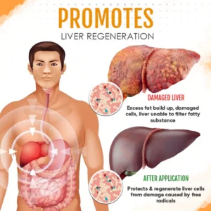 AEXZR™ Liver Care Patch