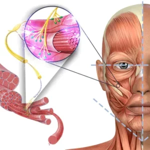 GFOUK™ EMSculpt V-Face Beauty Sleeping Device