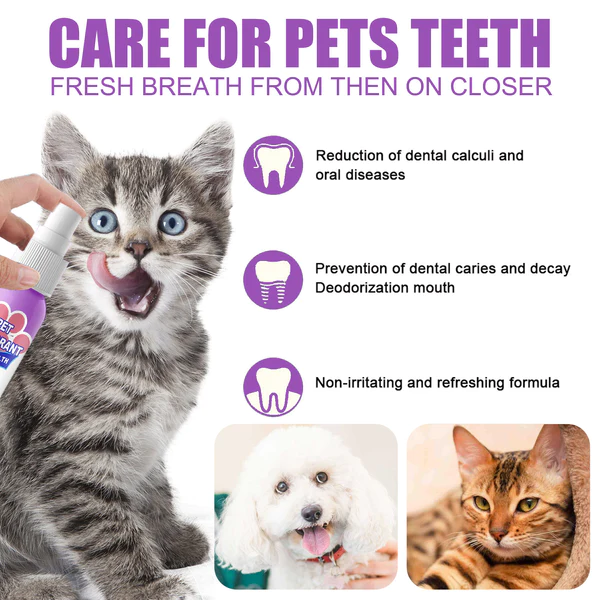 Petry® Teeth Cleaning Spray for Dogs & Cats, Eliminate Bad Breath, Targets Tartar & Plaque, Without Brushing - Image 4