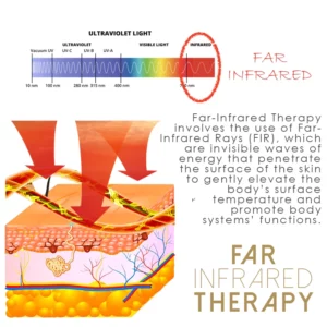 Ricpind BodyDetox Far Infrared Patch