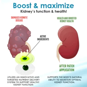 AEXZR™ Kidney Boost Patch