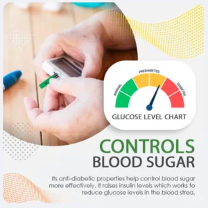 CC™ Blood Sugar Health & Wellness Series