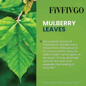 Fivfivgo™ Chlorophyll Liquid Natürliche Detox- und Blutzucker-Unterstützungstropfen