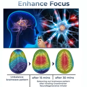 GFOUK™ GrowSmarter Neuroregeneratives Inhalationsgerät