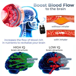 GFOUK™ GrowSmarter Neuroregeneratives Inhalationsgerät
