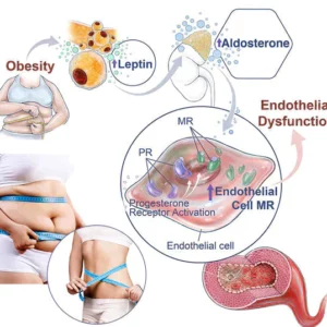Hübsche Gesundheit™ Lymphvity Entgiftung und Formgebung & Power-Lifting-BH