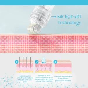 HyaluFix ™ Pockmark Heal Microdart Roller