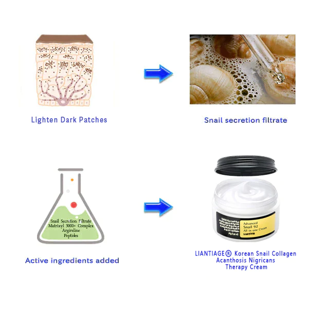 LIANTIAGE® Korean Snail Collagen Acanthosis Nigricans Therapy Cream - Image 5