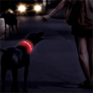 The Pethouse infrared pet electromagnetic collar