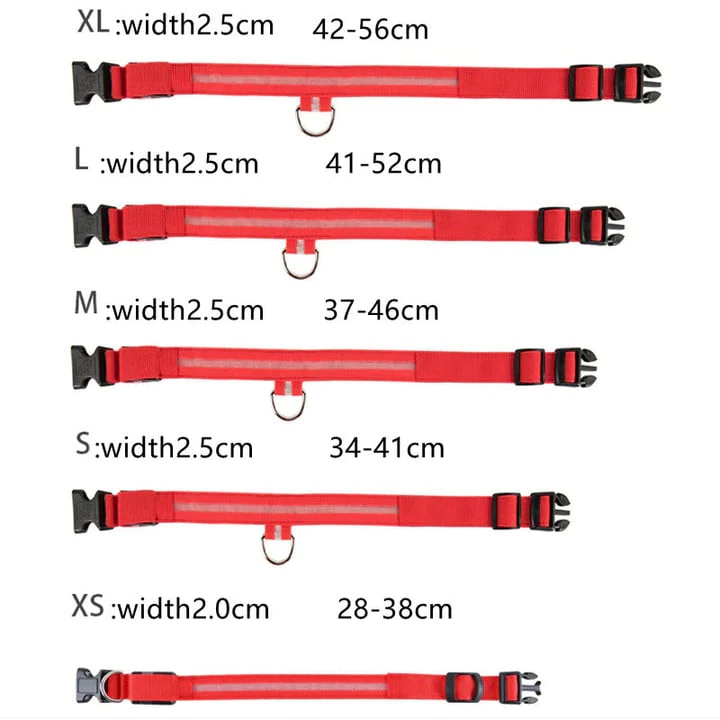 The Pethouse infrared pet electromagnetic collar