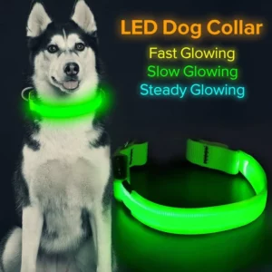 The Pethouse infrared pet electromagnetic collar