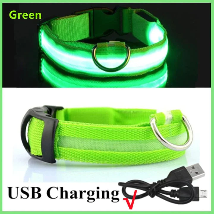 The Pethouse infrared pet electromagnetic collar