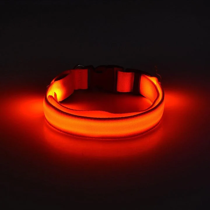 The Pethouse infrared pet electromagnetic collar