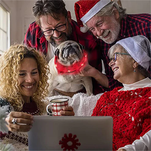 The Pethouse infrared pet electromagnetic collar