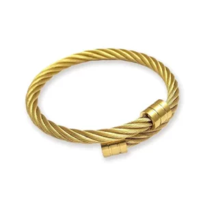 TitanPulse Ionic Fitness Bangle