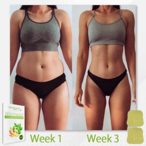 Wormwood Body Detox Pads