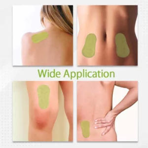Wormwood Body Detox Pads