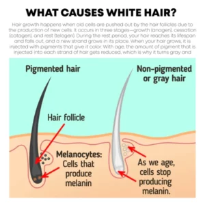 ATTDX AntiVergrau Zurückgewinnen Haare Serum