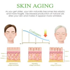 AntiAging CollagenPlus NeckFirming Cream