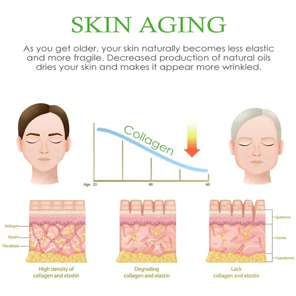 Anti-Aging CollagenPlus NeckFirming Cream
