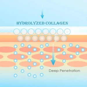 AntiAging CollagenPlus NeckFirming Cream