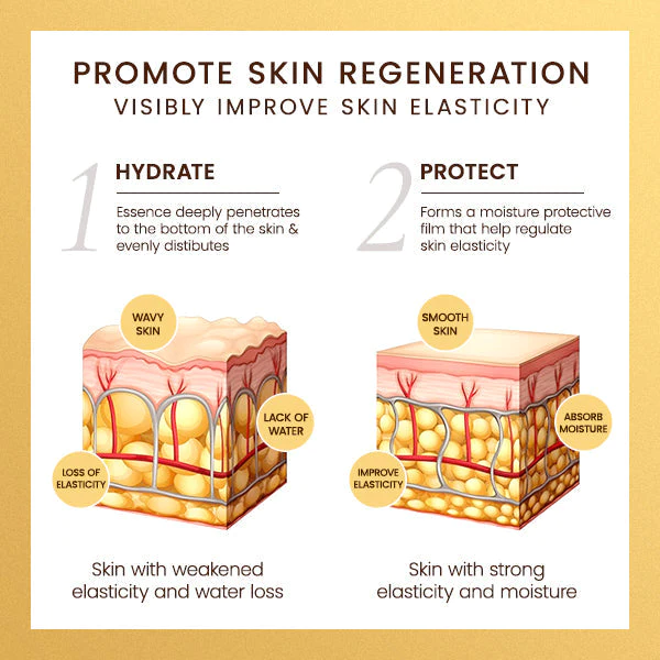 Blusoms™ Glow CELLUFINA Ampoules Essence - Image 4
