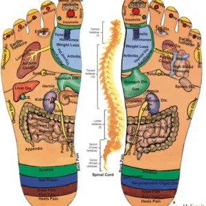 Foot-Reflexology Metabolism Enhancer Pads