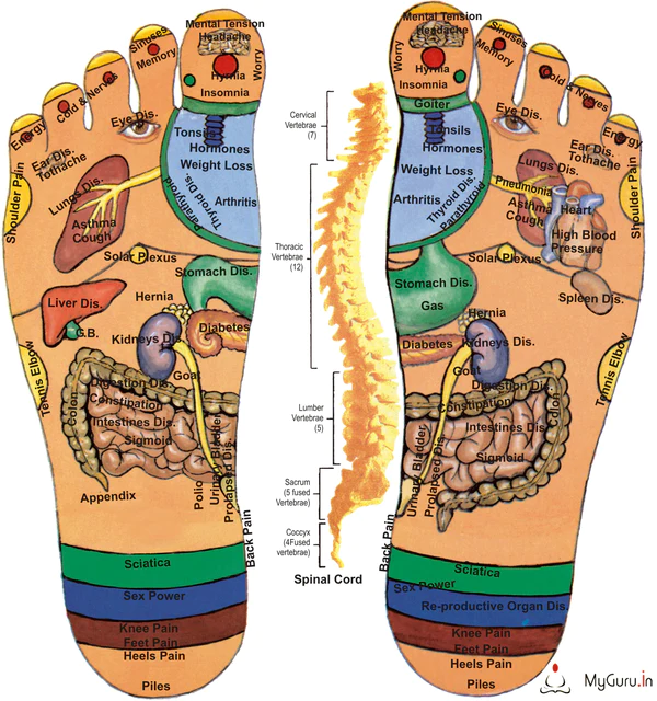 Tampoane de stimulare a metabolismului reflexologiei picioare
