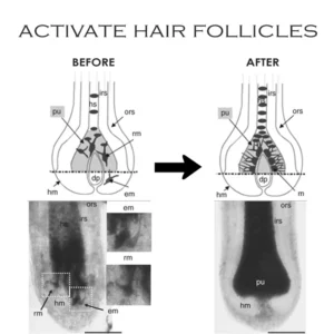 Gutdp HairDarkening NourishingGrowth Shampoo
