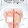 Herbal diabetes patch