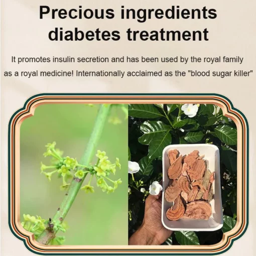 Herbal diabetes patch