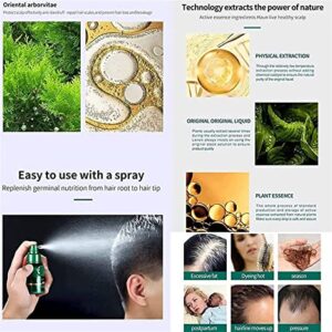 KORTIN RedGinseng HairRegeneration Spray