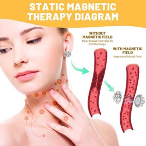 Sfrcord® Hematite Magnetic Therapy Detox Earrings