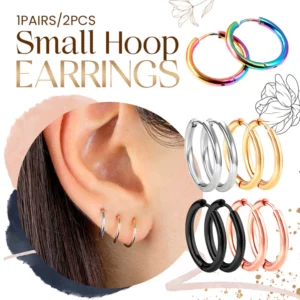 Small Hoop Earrings
