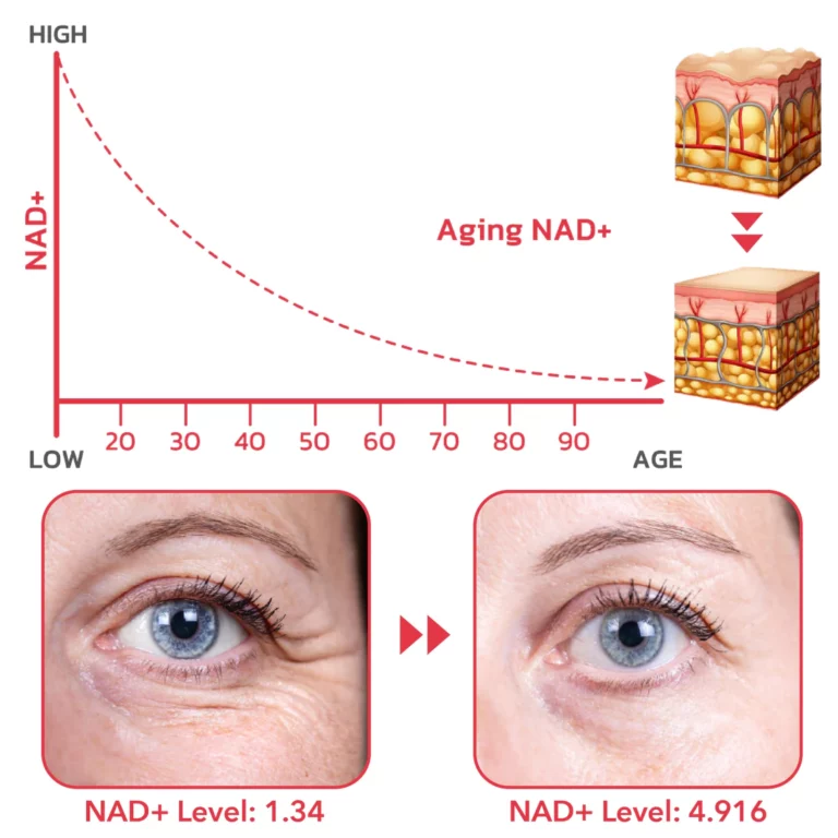 StayEve ™ NMN Aging Face Serum
