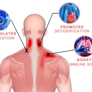 Alternative view of ANGUL™ Peptide Germanium Magnetic Therapy Detox Necklace